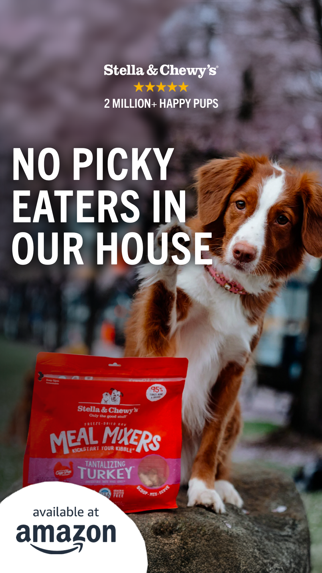 Pet Parents: Simplify Your Dog's Nutrition