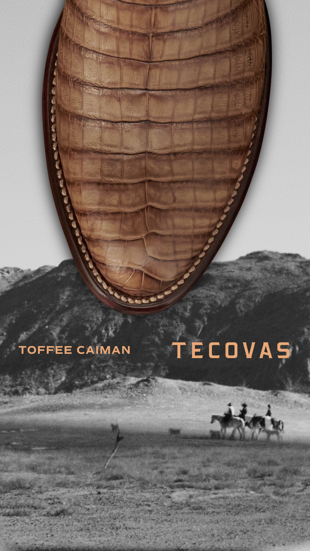 A NEW exotic arrival, The Dillon in Toffee.