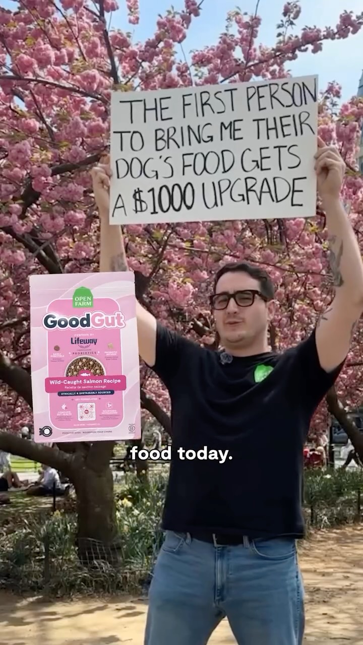DOG FOOD SWAP CHALLENGE IN WASHINGTON SQUARE PARK! 🗽💚

Everything changes with a healthy gut.
Better immunity, energy, digestion and cognition.
GoodGut is everyday gut health built into your dog’s food, eliminating the n