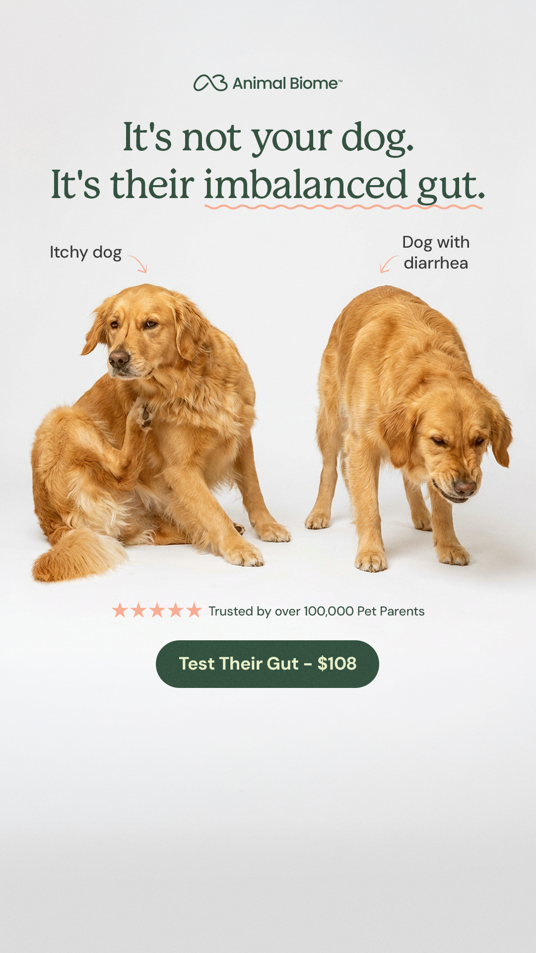 Discover the Root Cause of Your Pet's Symptoms
