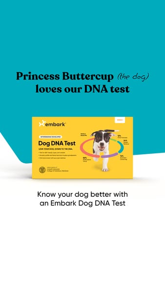 What unexpected breeds are hiding in your pup’s DNA? Find out with Embark, the most accurate Dog DNA Test on the market.