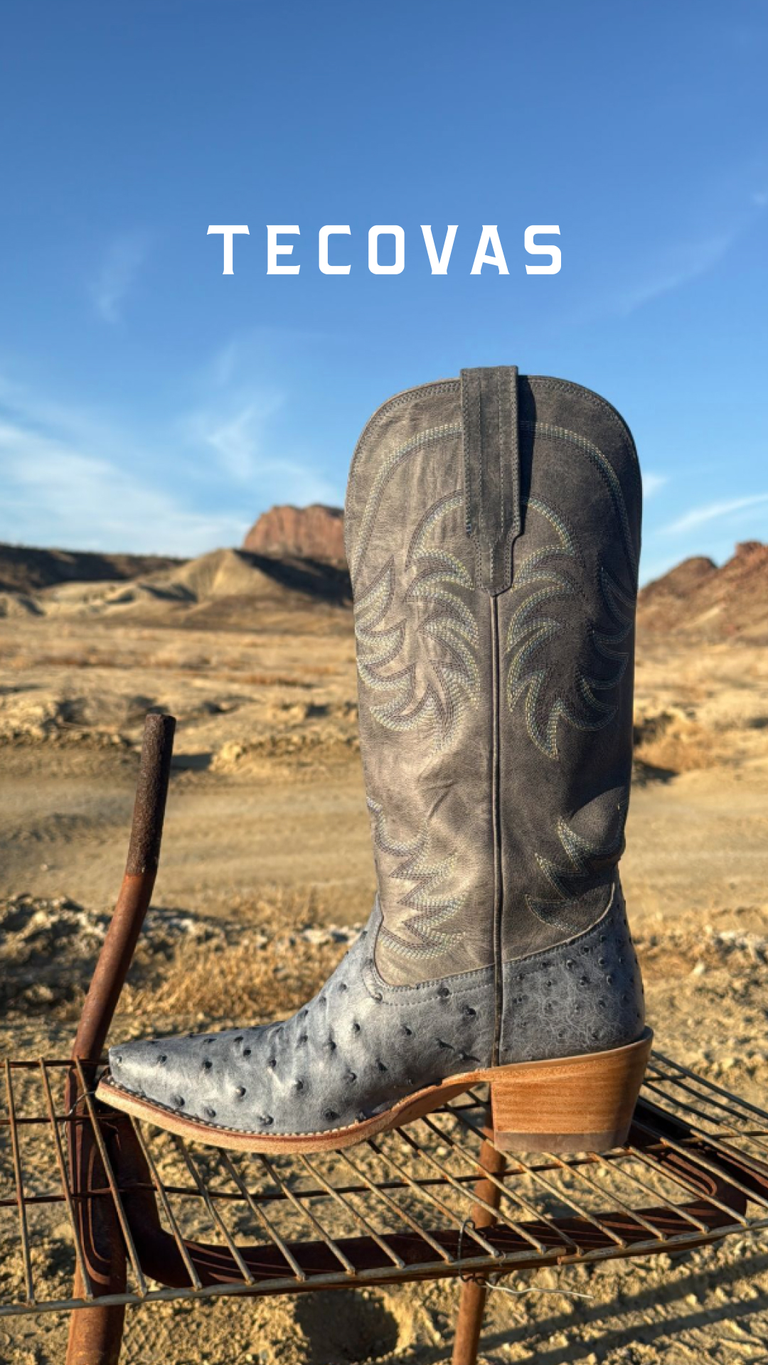 A NEW Annie is here in exotic full-quill ostrich.