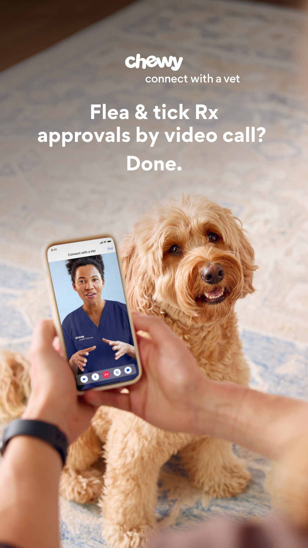 Flea & tick Rx approvals by video call? Done.