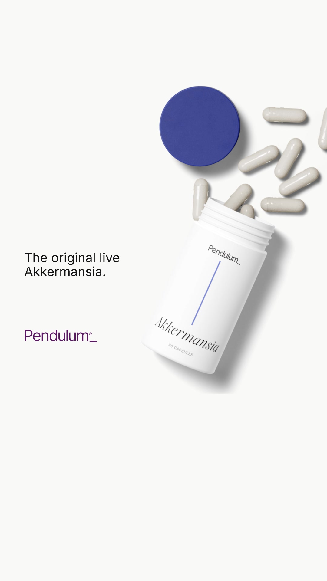 The Original Live Akkermansia