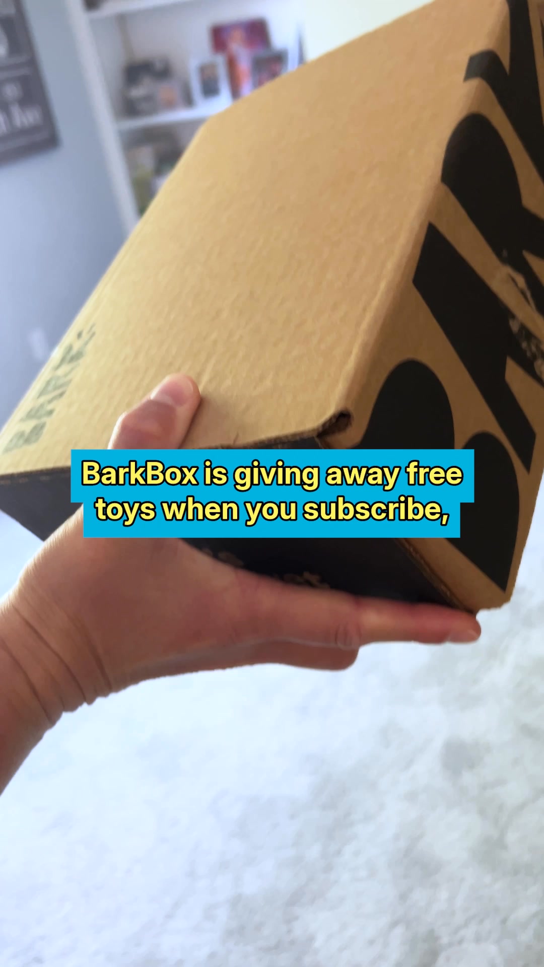 +1 FREE TOY EVERY MONTH