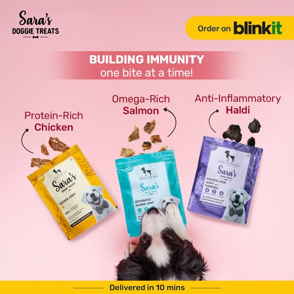 The changing season calls for immunity builders, even for our dogs. 🐶
Treat them to the goodness of real chicken, turmeric, and salmon with Sara's Doggie Treats!

🧡 No preservatives
🧡 No chemicals
🧡 No fillers
💚 Juuuust 