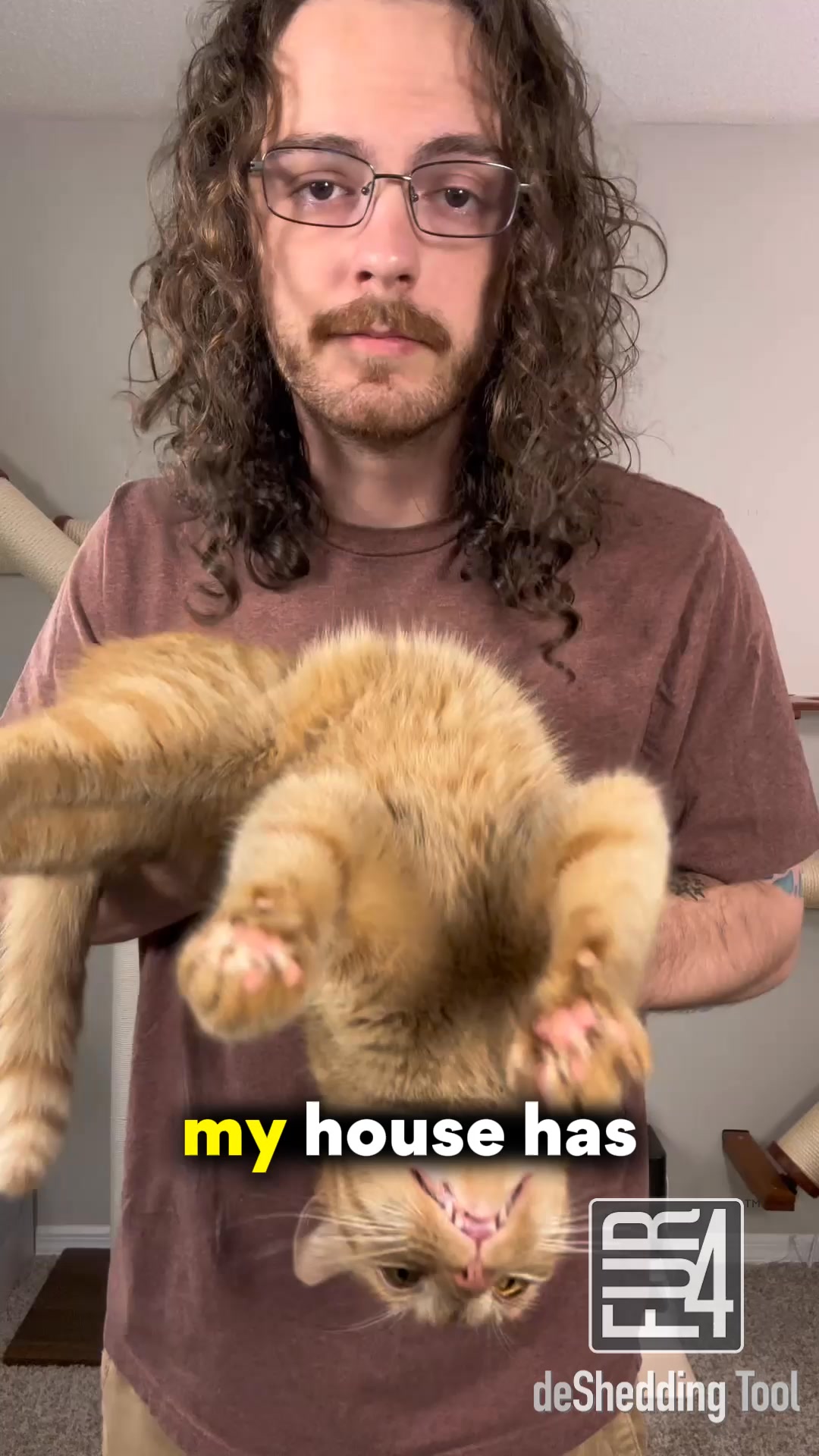 Tired of Shedding? Try the FUR4