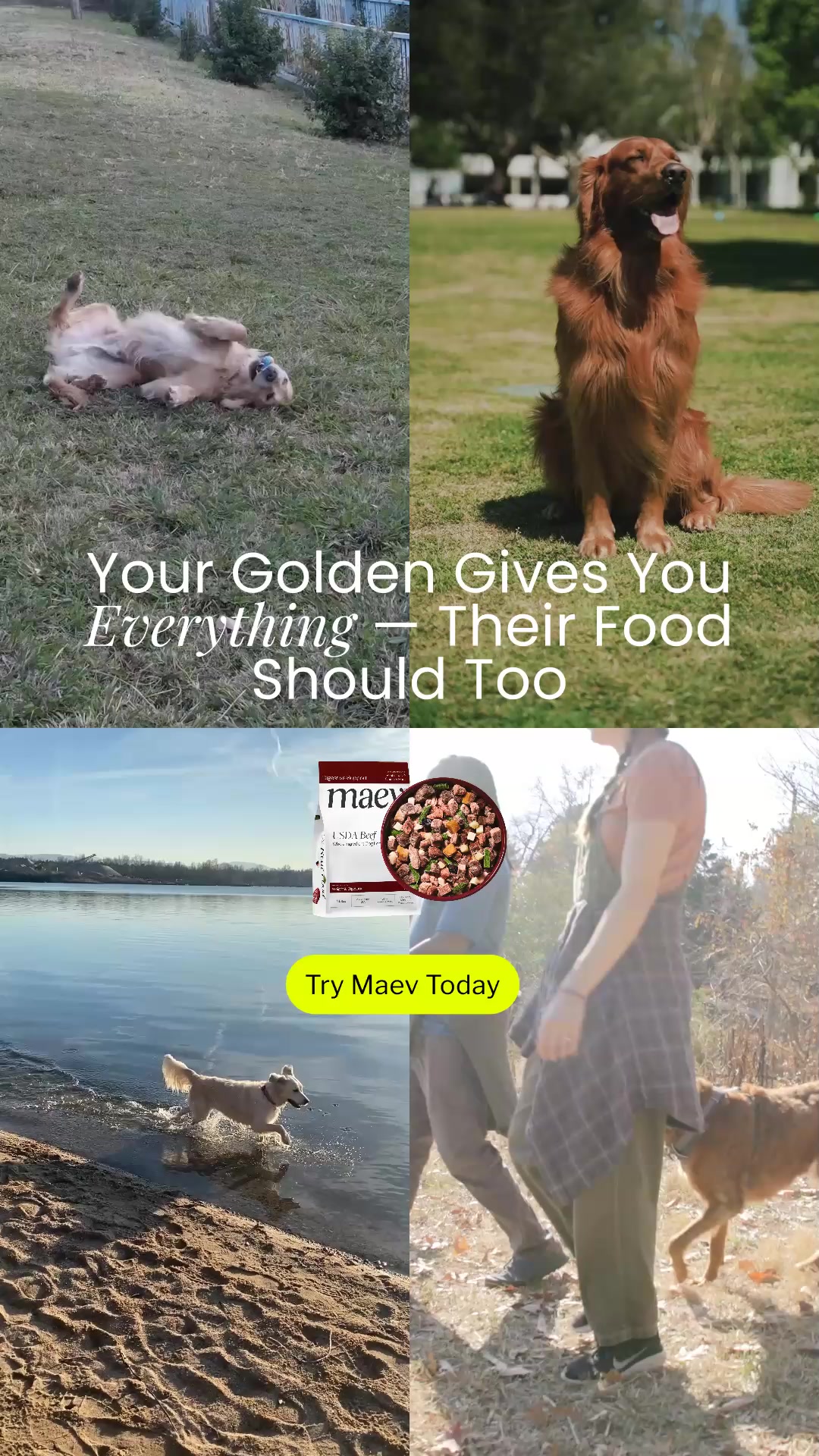 Maev supports your dog in the ways that matter most—digestion, energy, mobility, and skin—through whole-food nutrition.