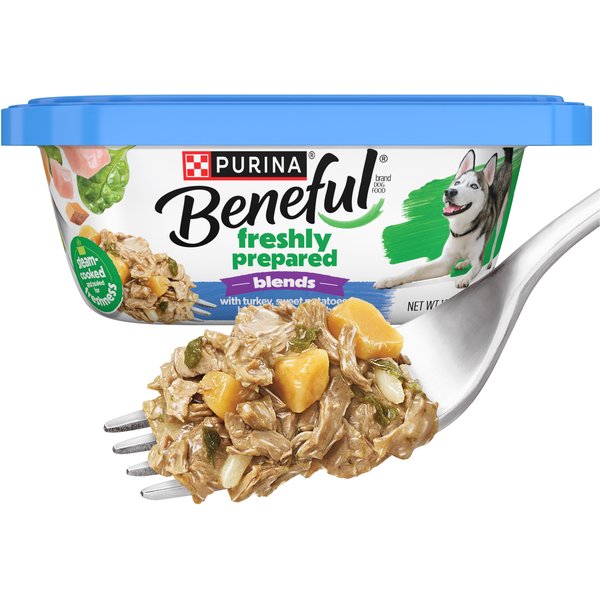 Beneful 💥 Kick Boring in the Bowl