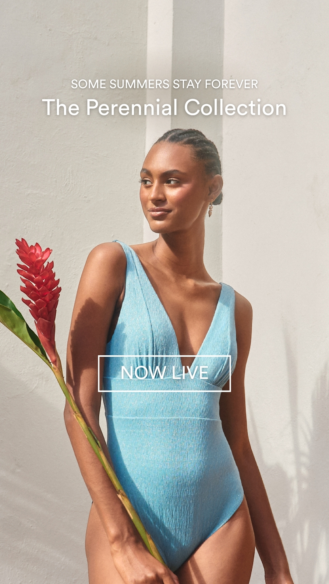 New In: The Perennial Collection