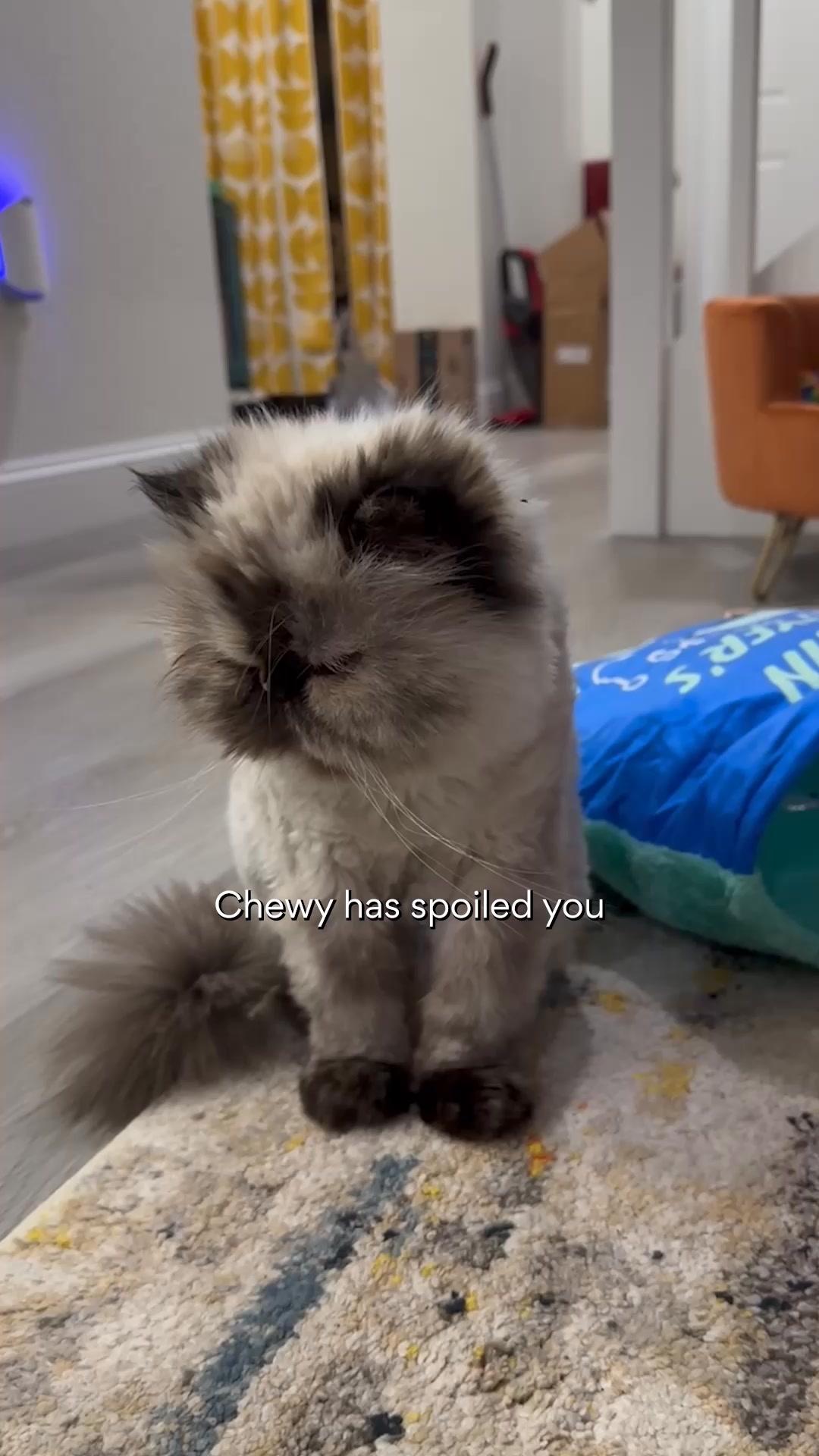 Save on pet meds every day