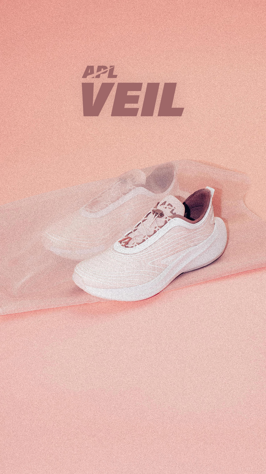 Introducing The Veil