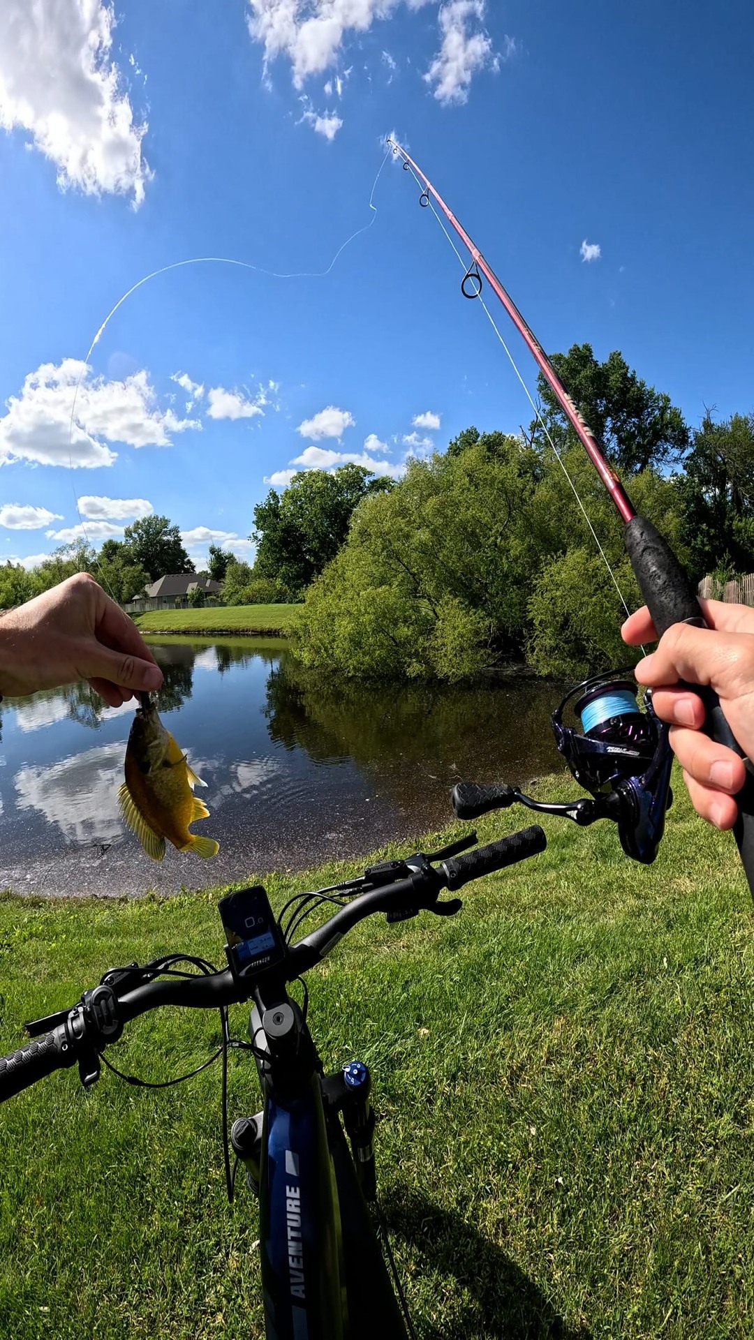Land based fishing used to suck. But now with my new Aventon Aventure 3 e-bike, I can zoom around town and hit every pond in a couple hours. E-bikes have changed the game for thousands of anglers including myself. If you