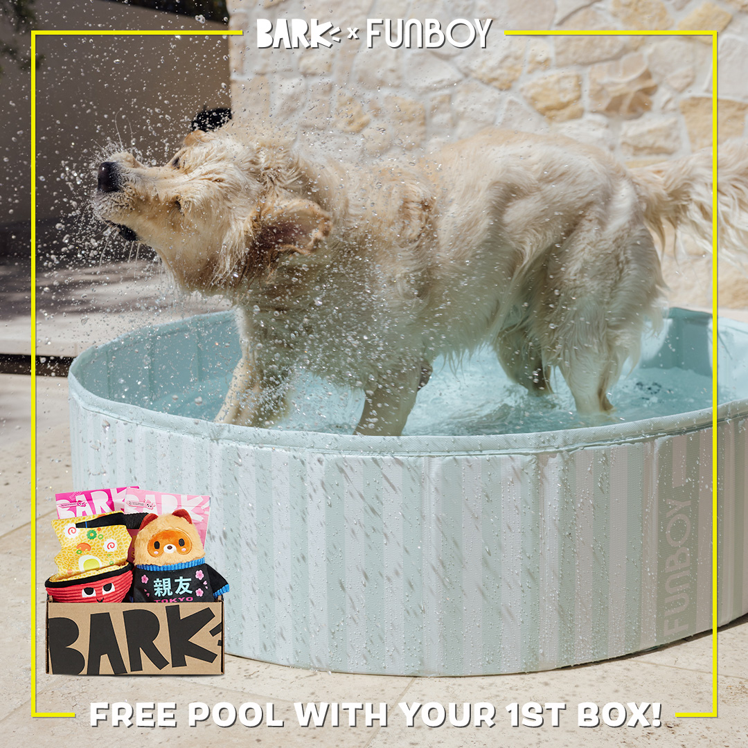 BarkBox