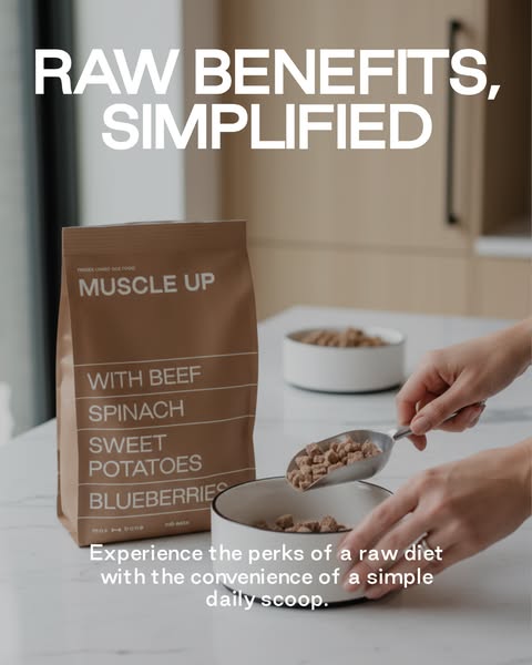 Superfoods for Super Dogs