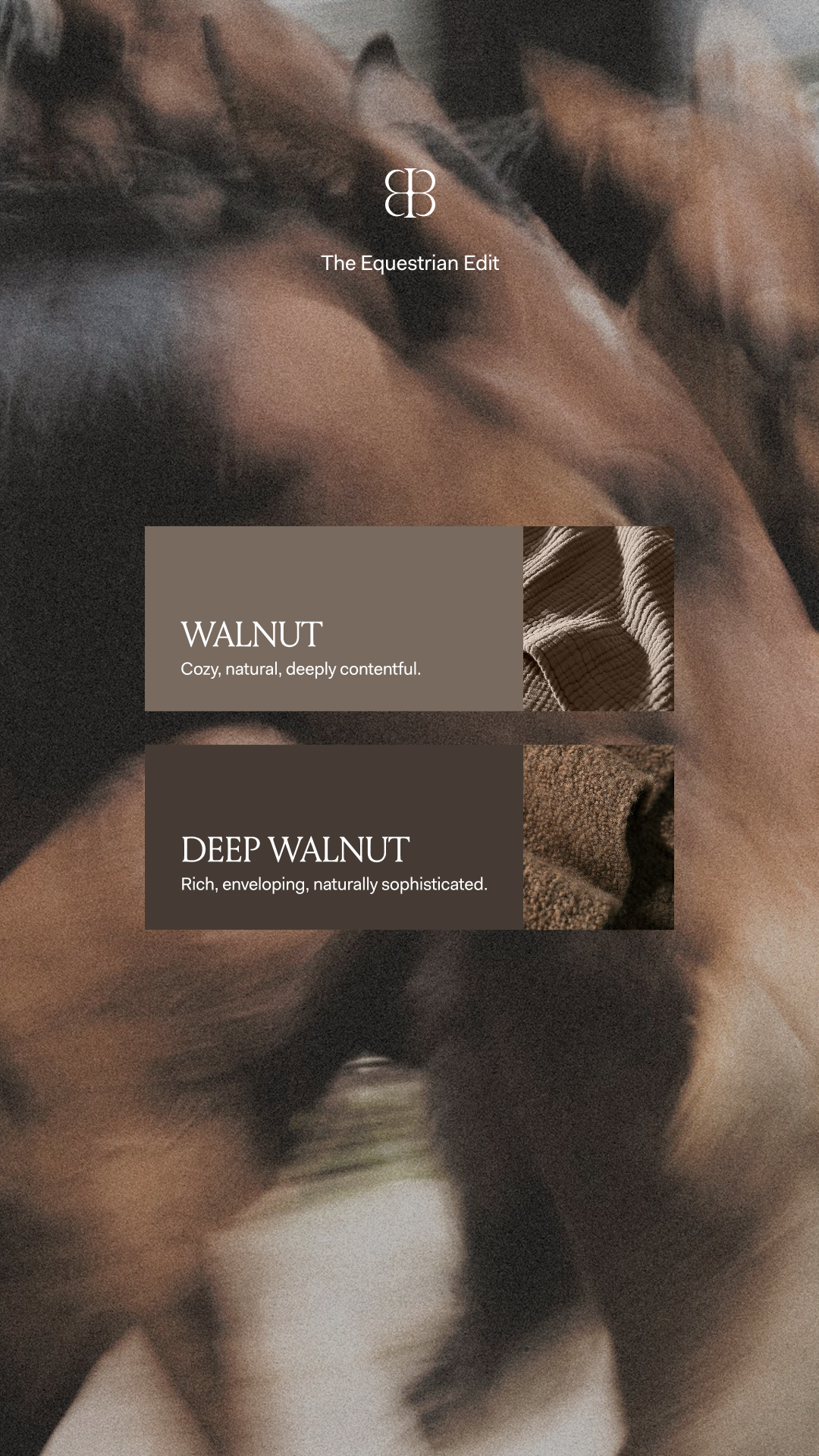 Shop The Equestrian Edit