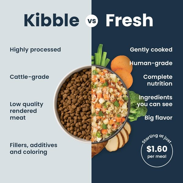 Quitting kibble is easy with 50% off your first order!
🍃 Fresh human-grade ingredients
🐶 Flavors your dog will love
📅 Easy order management
👩🏻‍⚕️ Veterinarian approved diets