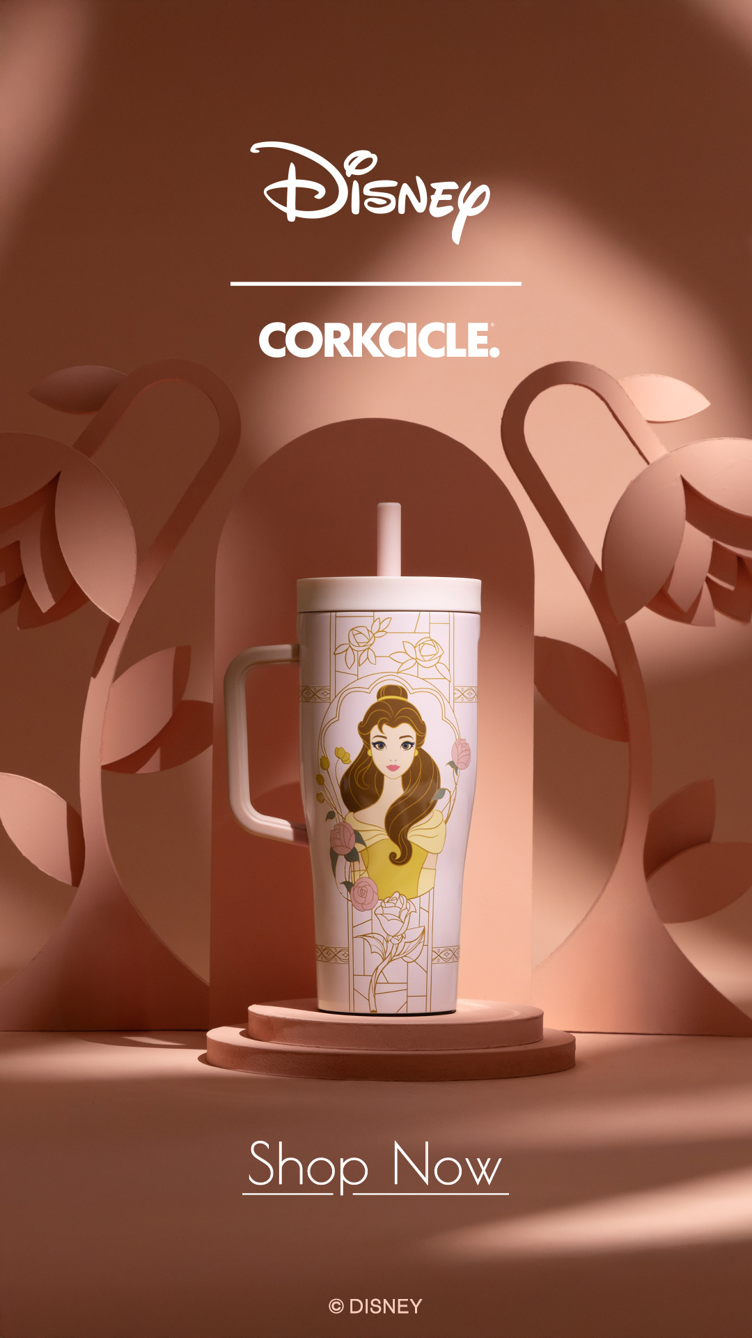Disney | Corkcicle: Disney Princess Collection