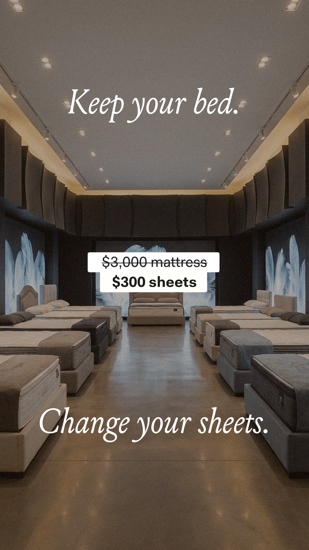 10,000+ 5 Star Reviews