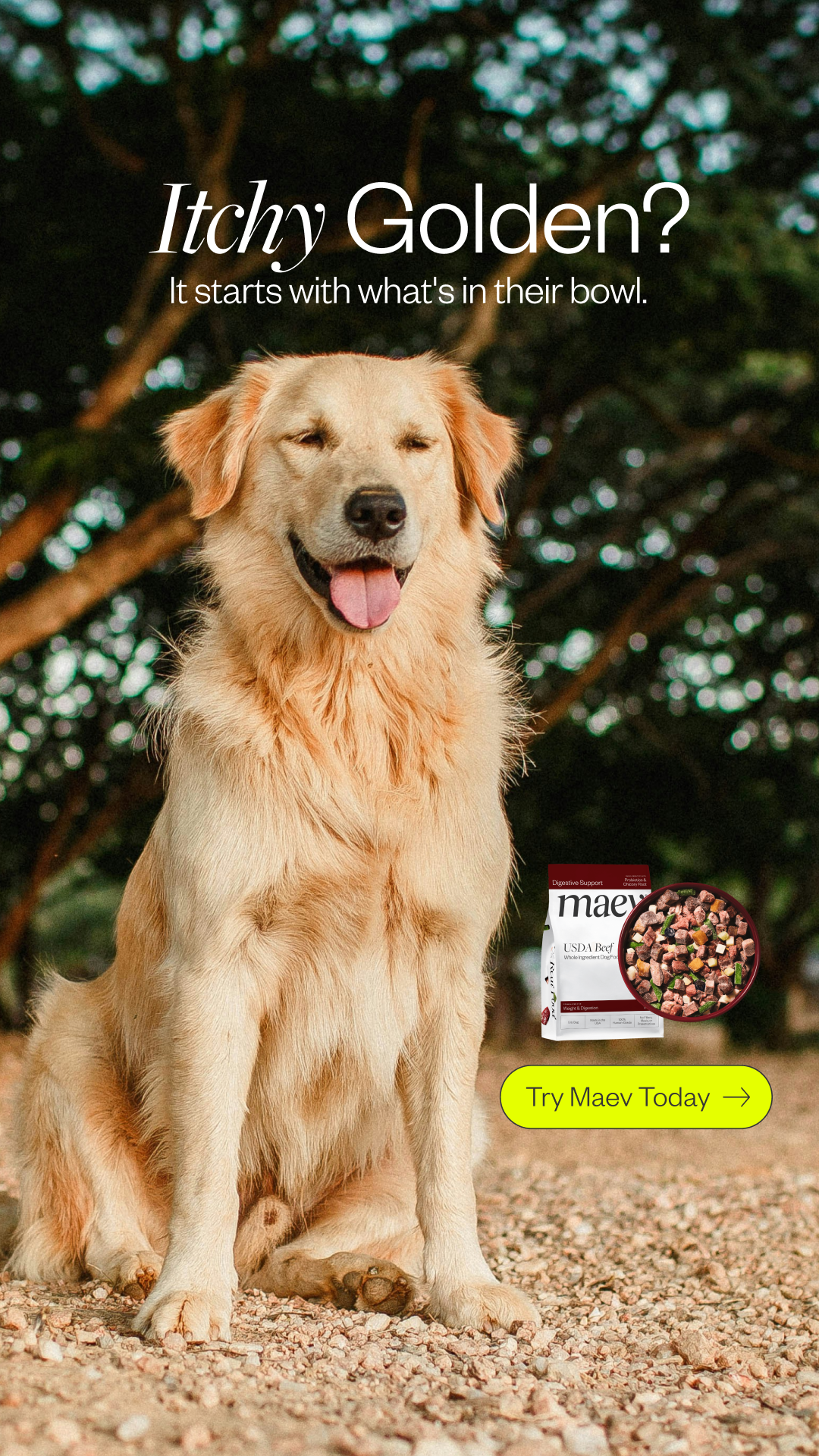 Maev supports your dog in the ways that matter most—digestion, energy, mobility, and skin—through whole-food nutrition.