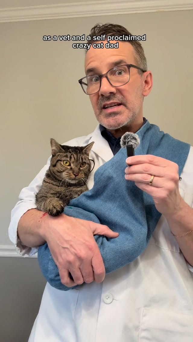 As a vet and a cat dad, I see how much diet impacts things like digestion, weight, and coat health.

A lot of what people call “crazy cat person” behavior is really just paying attention—especially to what’s in their bow