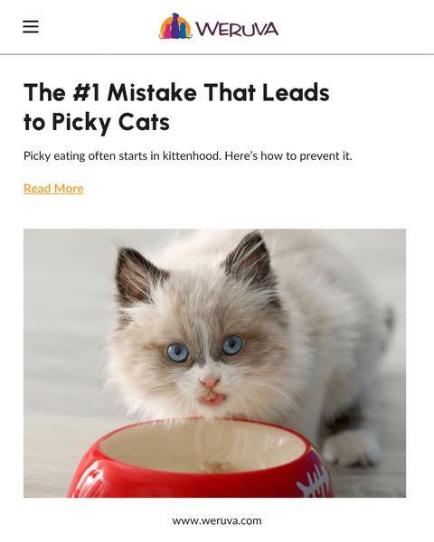 Your cat wasn't born picky. It was raised that way. Picky eating actually starts in kittenhood! Learn what to do now to avoid it later.