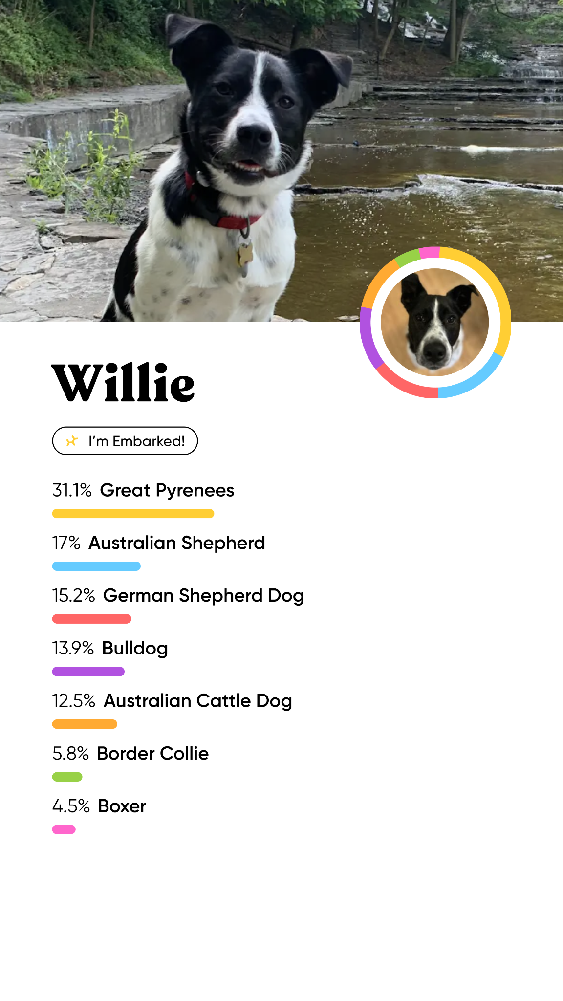 What unexpected breeds are hiding in your pup’s DNA? Find out with Embark,  the most accurate Dog DNA Test on the market.