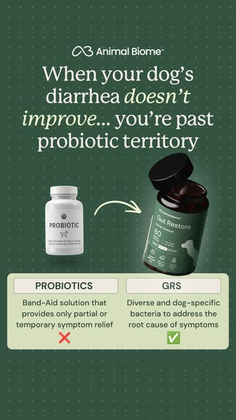 Relief For Your Dog's Gut