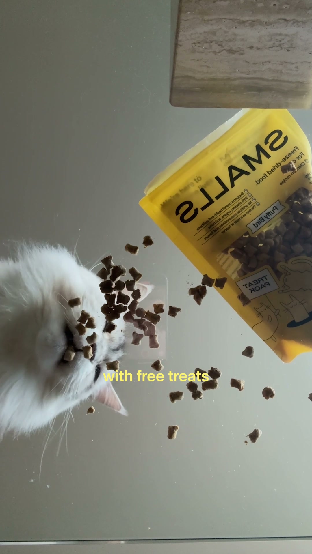 Human-Grade Fresh Cat Food