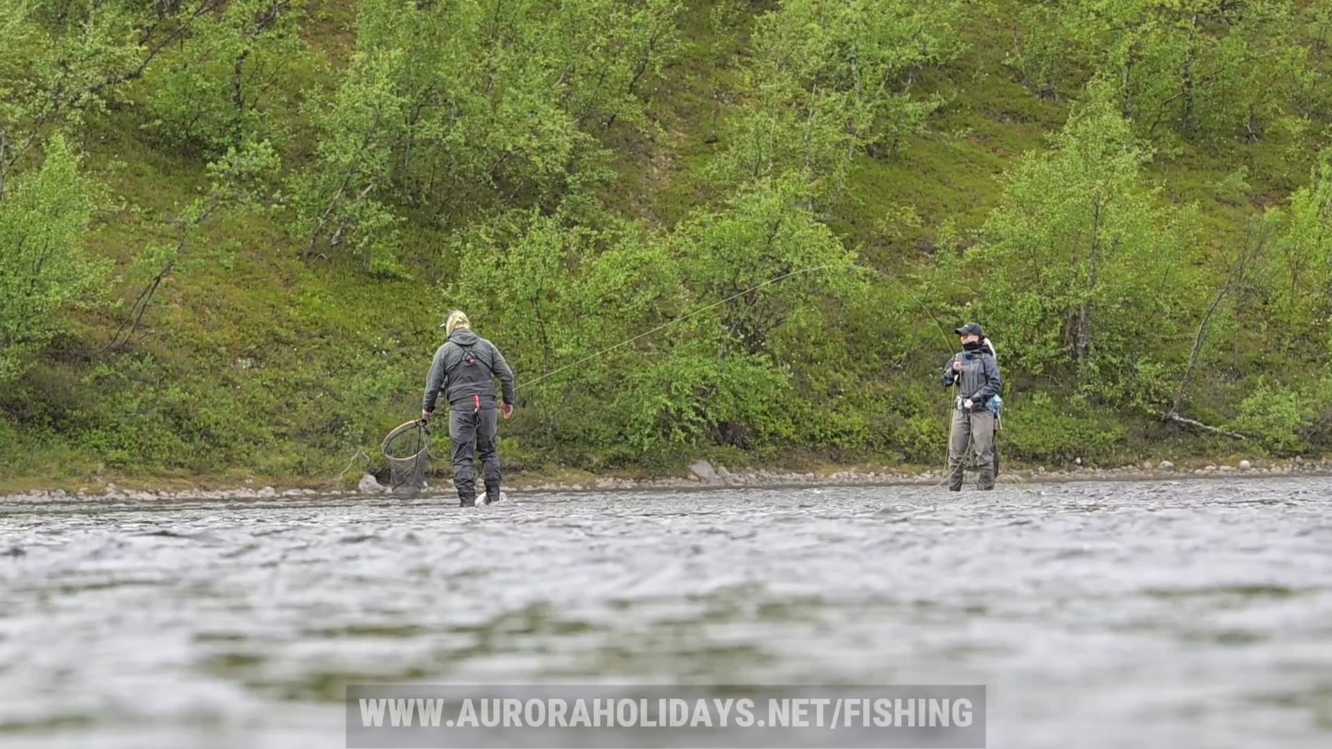 Imagine the peace and quiet of the wild true north, the gentle flow of clean, free water making its way around your waders as you cast your fly in the magical light of the midnight sun.

You were taken to the best fishin
