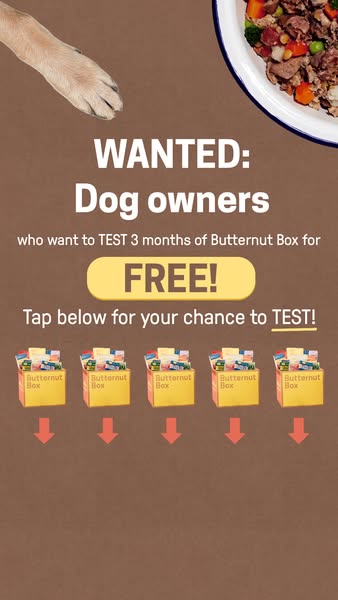 🐶Are you a dog owner?🐶