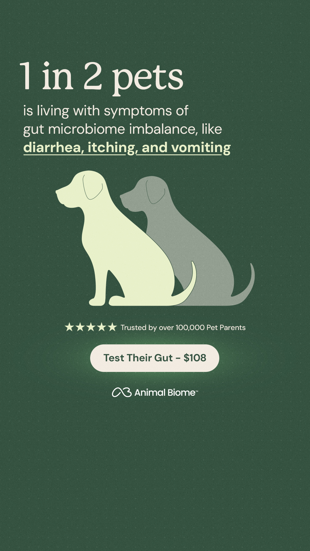 Understand Your Pet's Gut Health