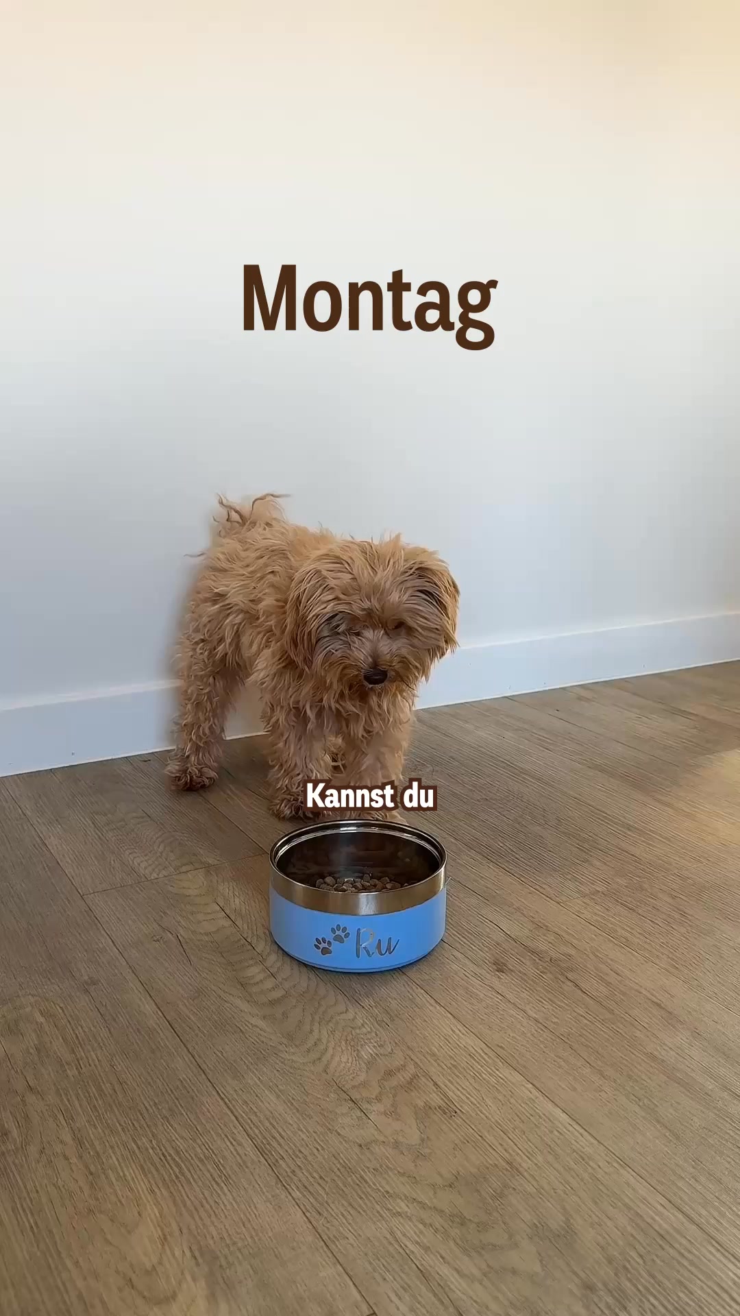 Jetzt mit 35% + 25% Rabatt