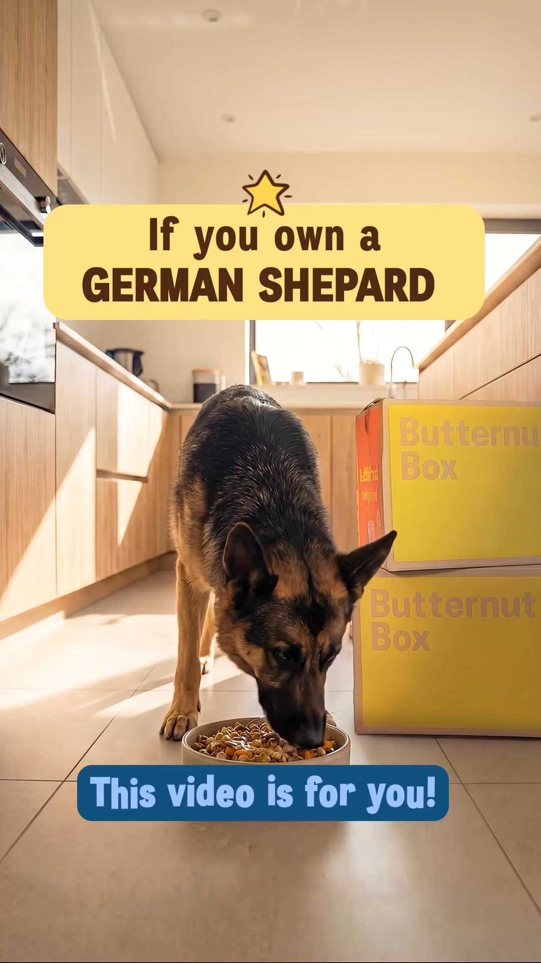 🐶 WANTED: GERMAN SHEPHERD owners who want to TEST 3 months of Butternut Box for FREE! 🐶