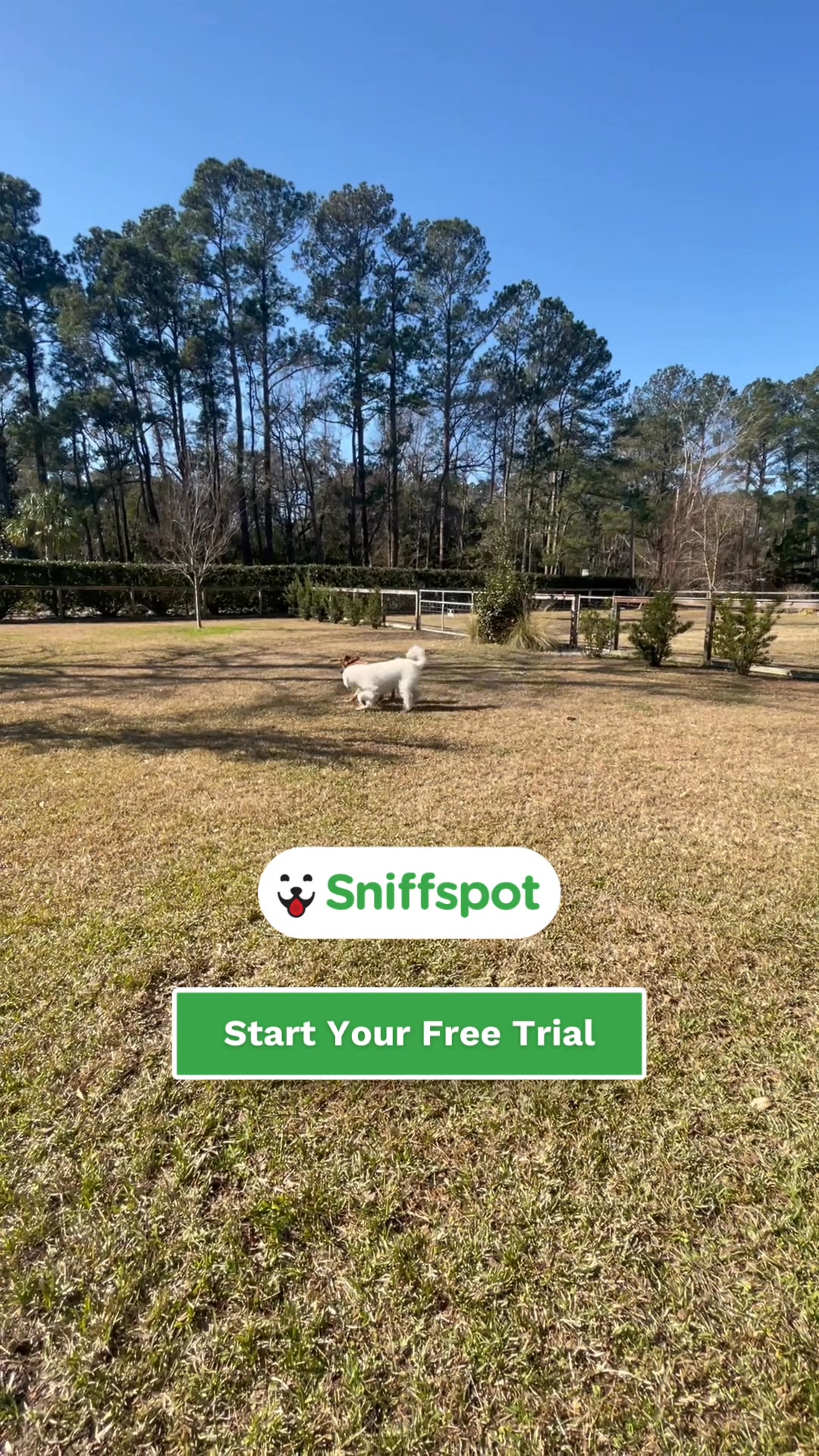 Rent a Yard, For Your Dog 🥰🐶🐕
