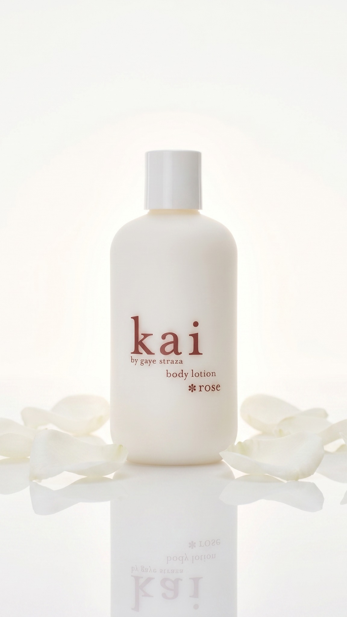 a bestseller, now back in stock