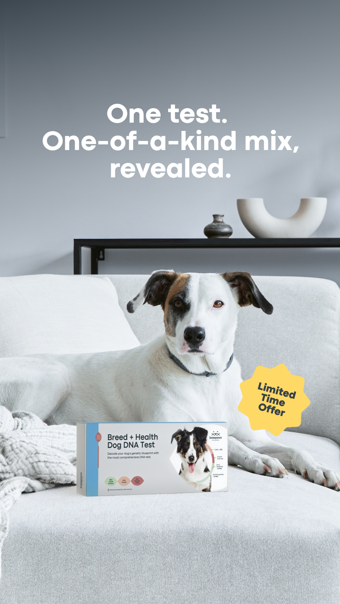 Every dog is one-of-a-kind. Learn their breed breakdown with limited time savings on dog DNA tests 🧬