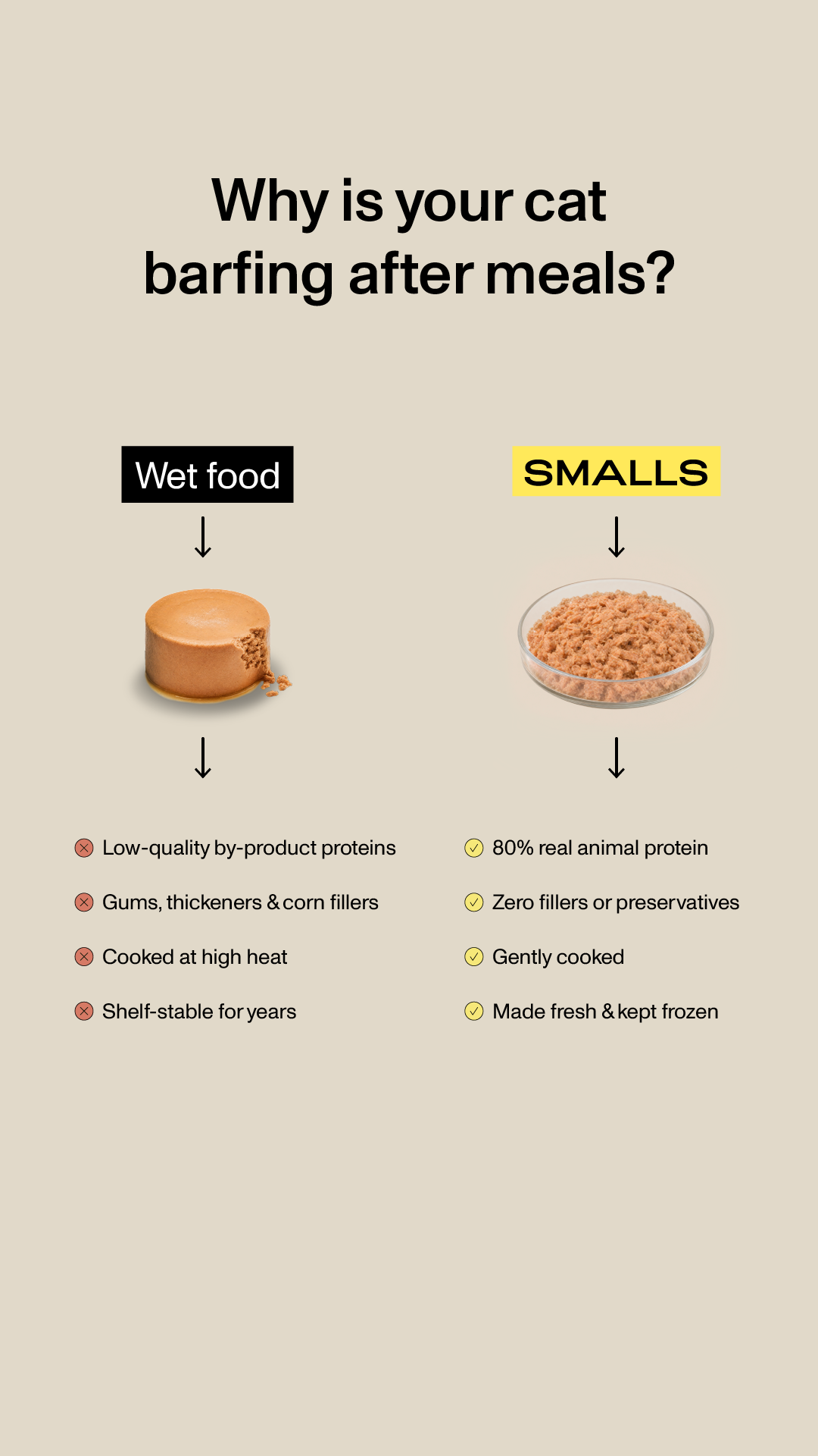 Human-Grade Fresh Cat Food