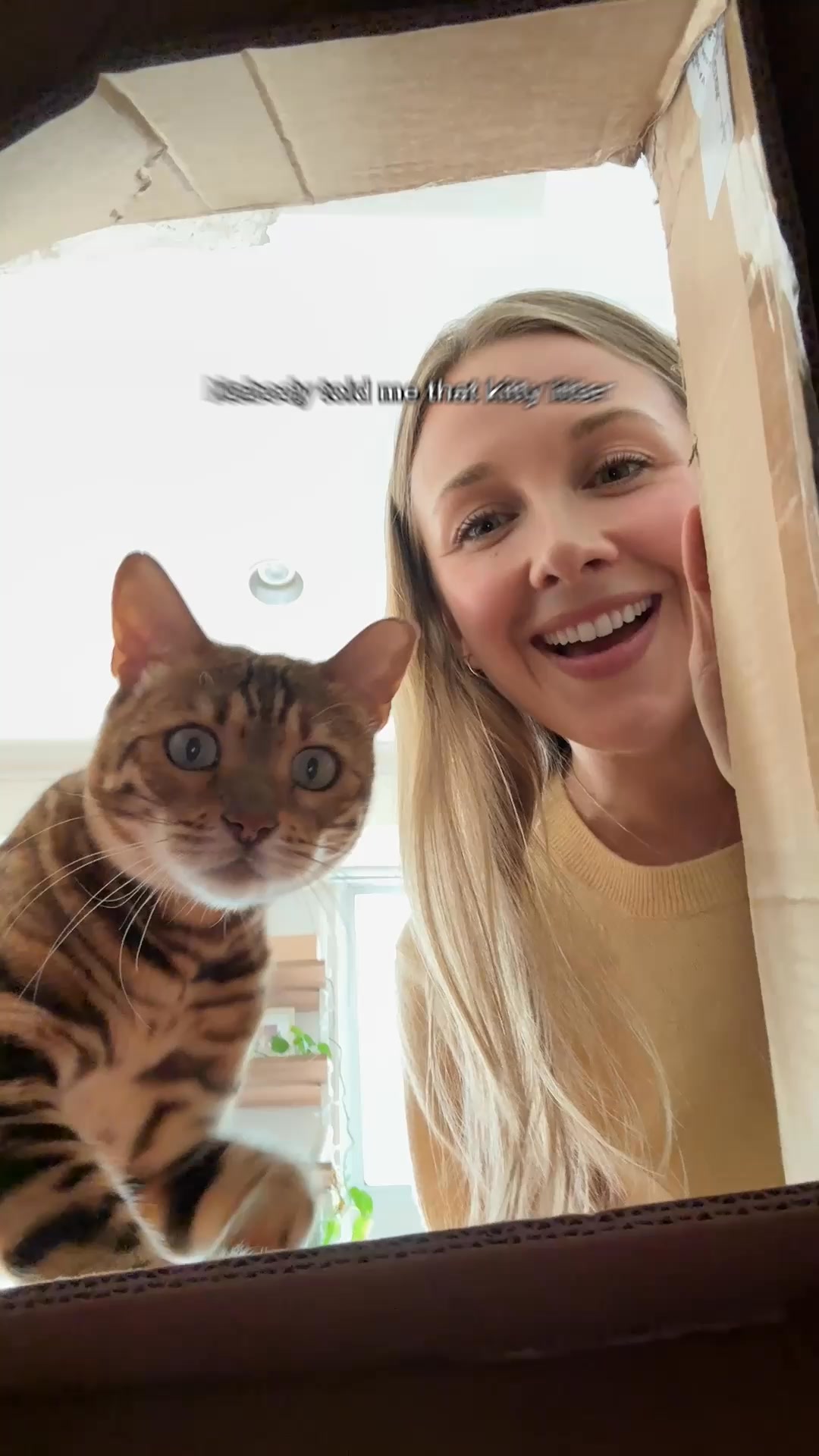 The litter that fixes everything annoying about litter:

✔ Stays in the box, not on your floors.
✔ 99% dust-free for cleaner air.
✔ Flushable for stink-free disposal.
✔ Clumps like a dream.

Your cat's bathroom deserves 