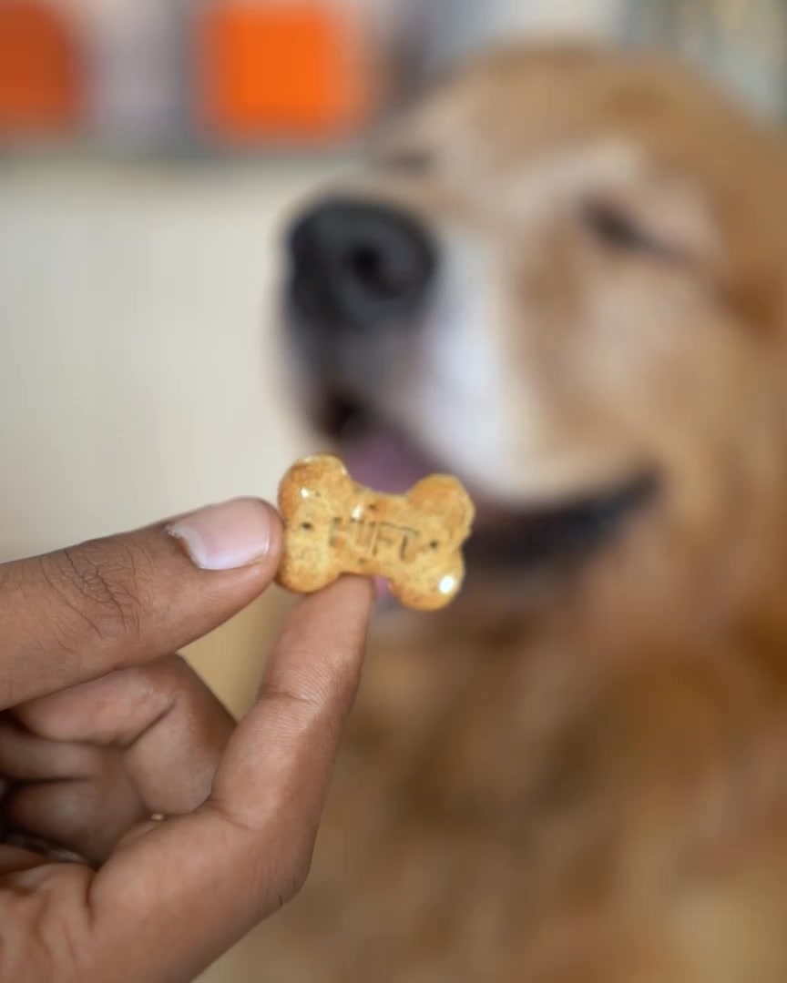 Looking for the healthiest snacks for your dog? 🧐 YIMT Dog Biscuits will be your go-to! They are made with real, human-grade ingredients - something that no other dog biscuit can claim 😯 Watch till the end to see exactly