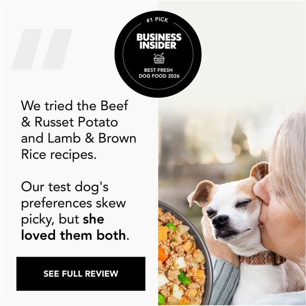 Which fresh food is right for your dog in 2026?