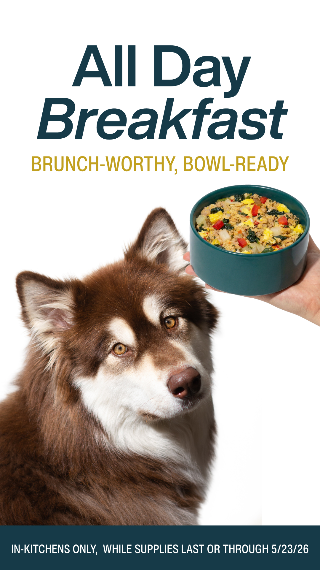 BACK BY PAW-PULAR DEMAND! 🐾
Kale, pork, eggs, bell pepper, quinoa & potatoes—your dog’s go-to breakfast is cooking again near you for a limited time!