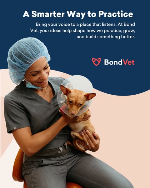 Shape the Future with Bond Vet