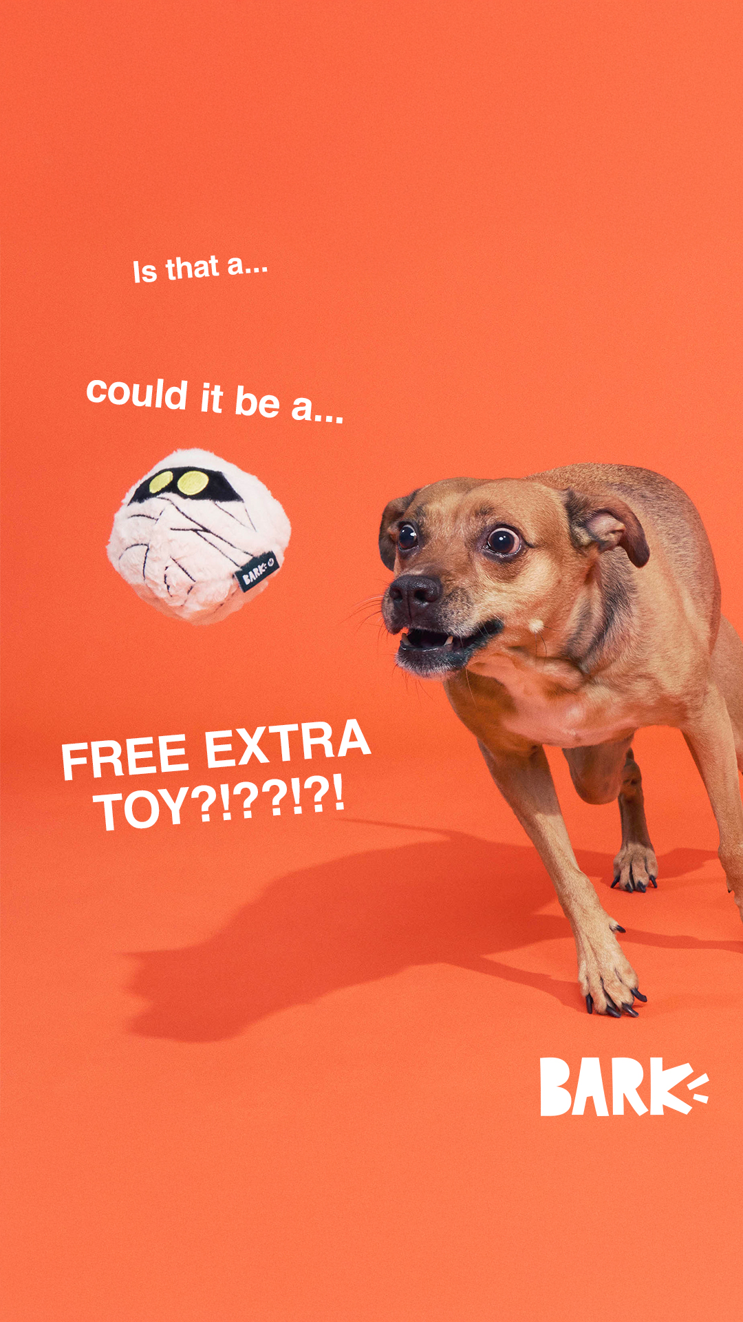 Believe what you see. Sign up for BarkBox and get a free toy every month for a year.