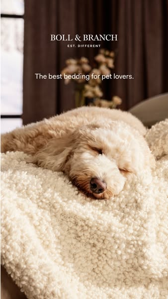 10,000+ 5-Star Reviews