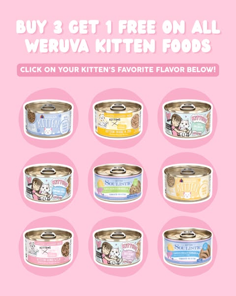 Buy 3, Get 1 FREE on all kitten food 🐾 Mix, match, and pick their favorites with a variety of flavors and textures made for curious little eaters.