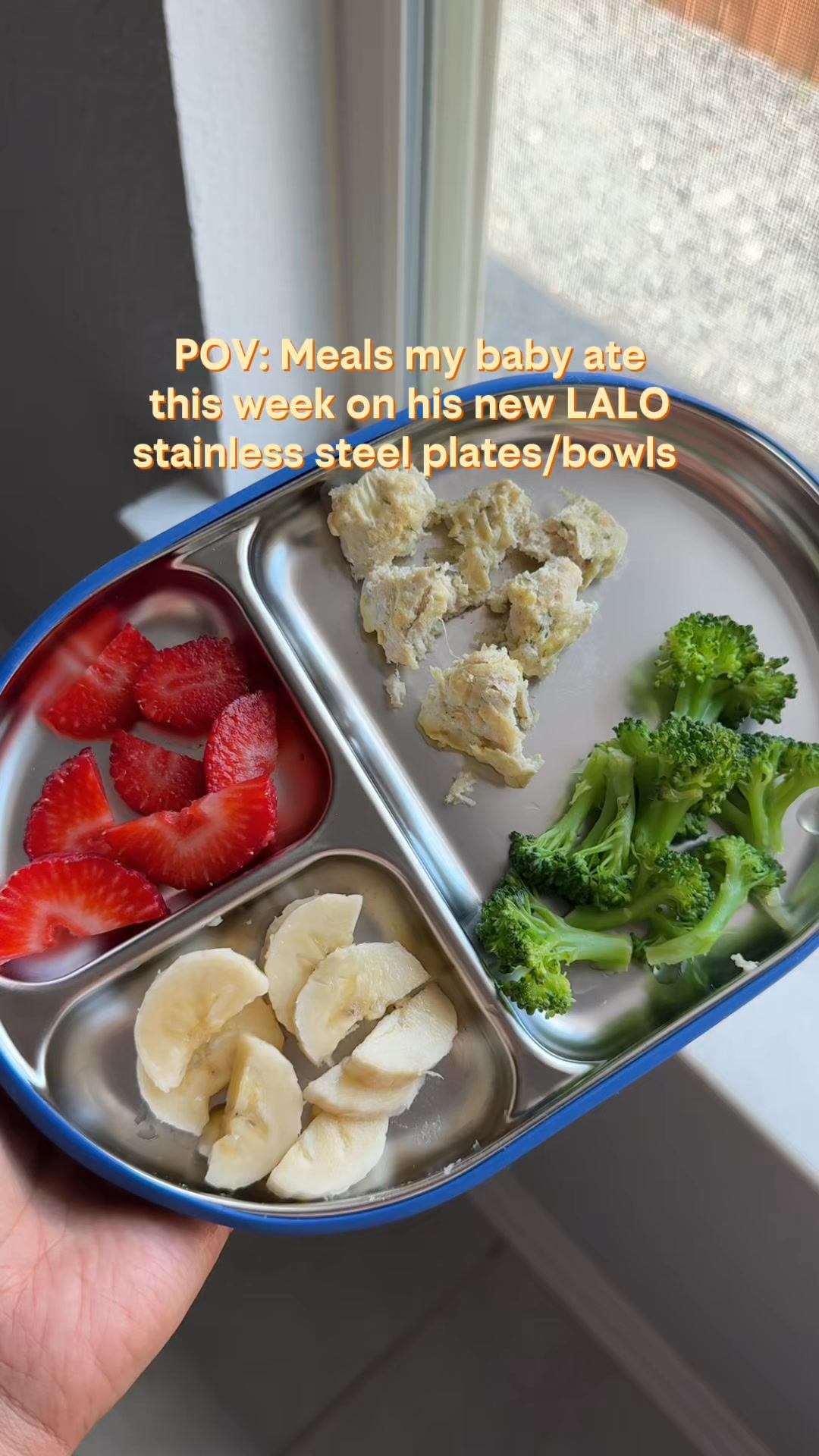 Your New Mealtime Essential