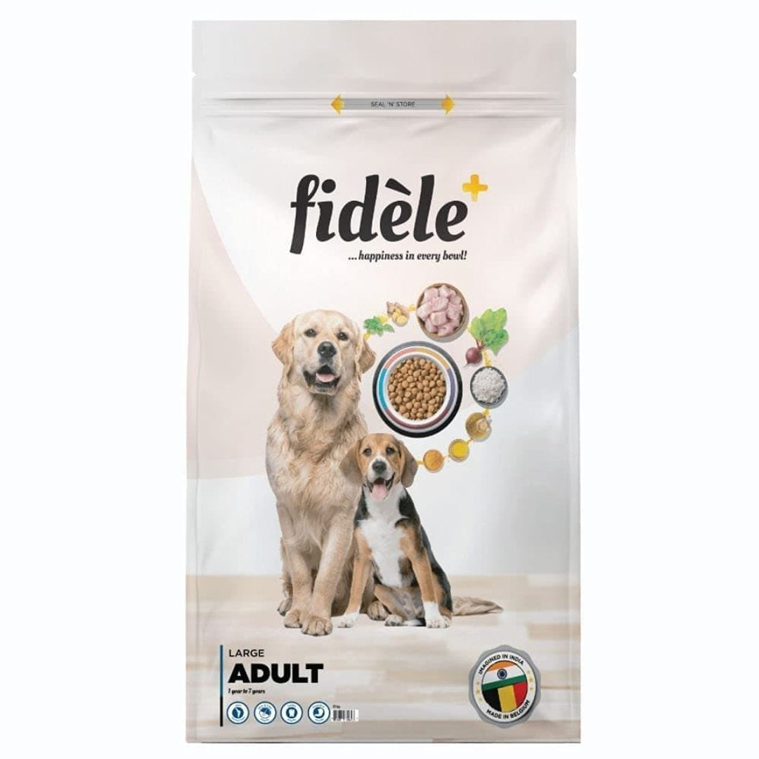 Support pet health with trusted wellness essentials on Supertails