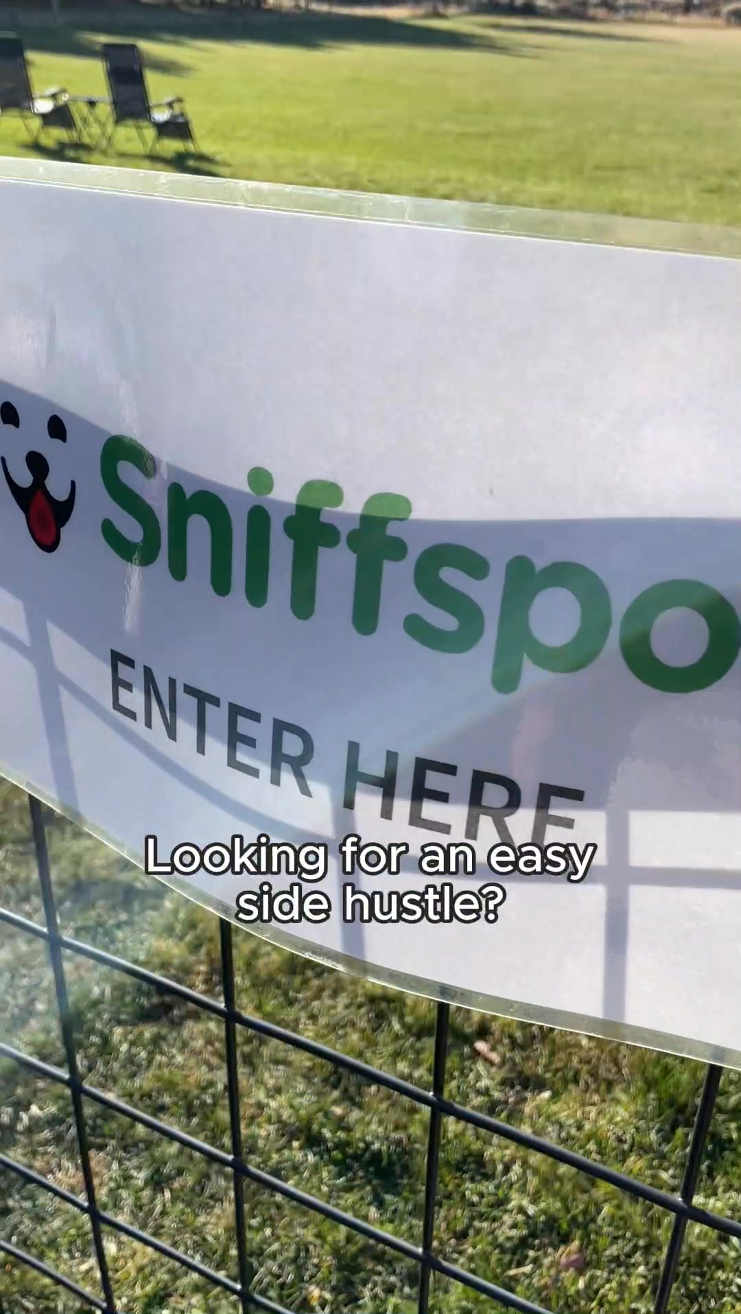 Rent your yard to Dogs 🙌 🐕‍🦺