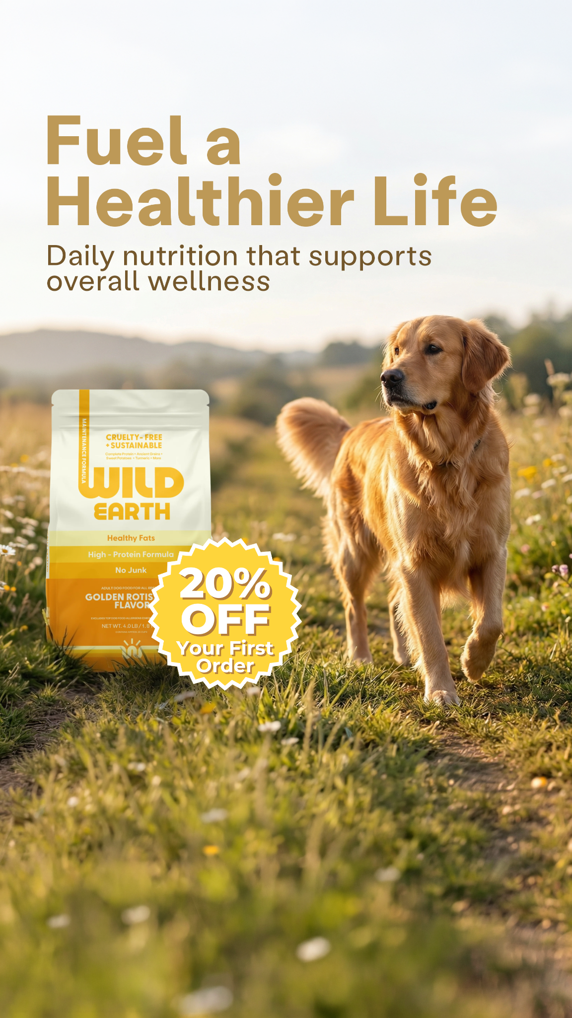 here 20% off